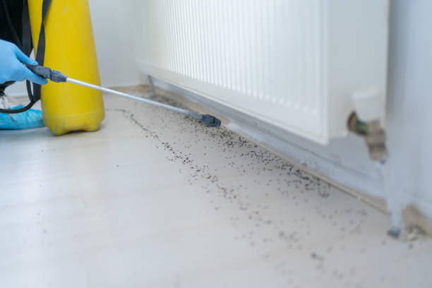Stuart, IA Pest Control Company