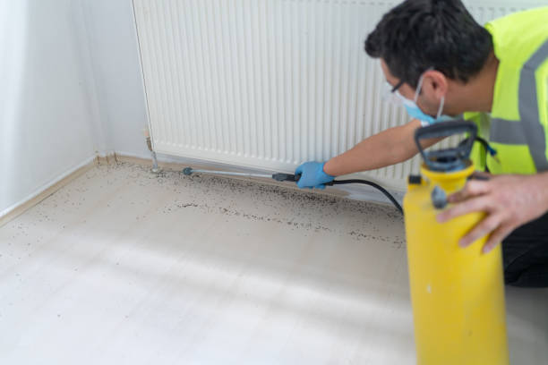 Best Pest Removal Services  in Stuart, IA